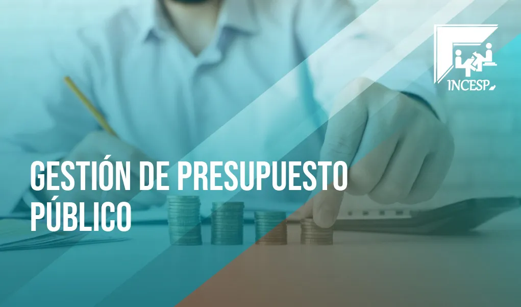 Gestión de Presupuesto Público